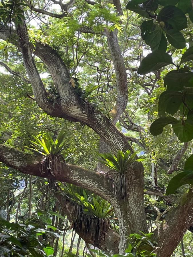 Ferienwohnung Ka Hale Kealoha Kaunakakai Exterior foto