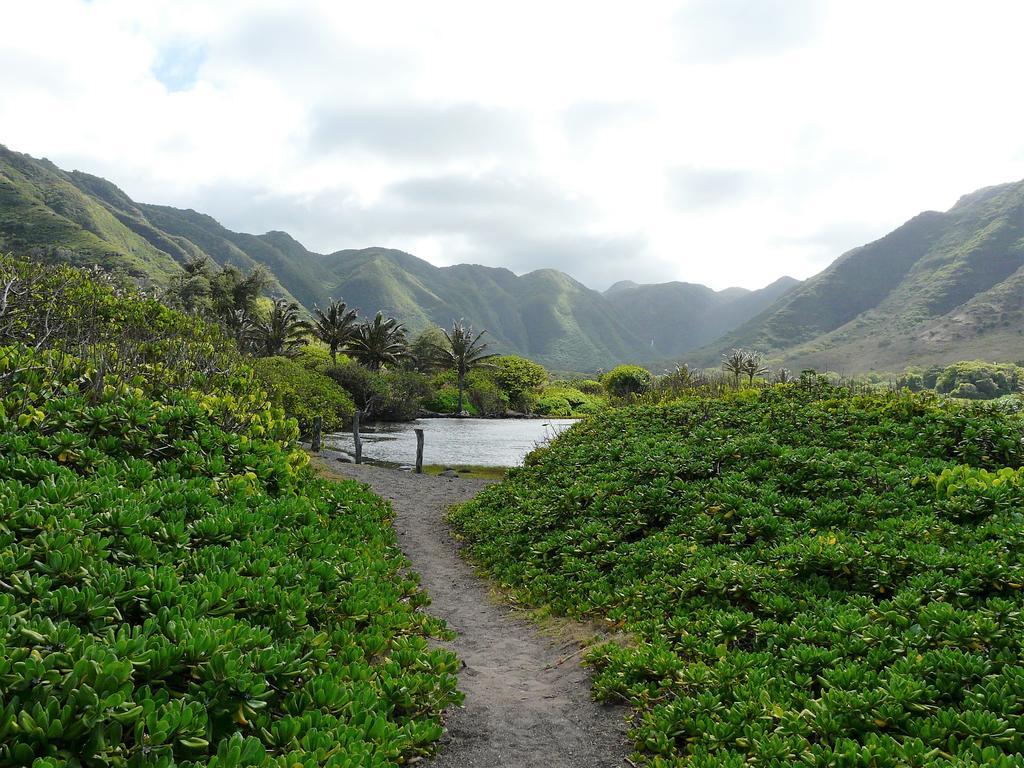 Ferienwohnung Ka Hale Kealoha Kaunakakai Exterior foto